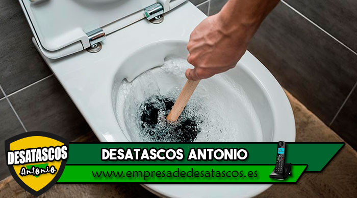 desatascar Wc