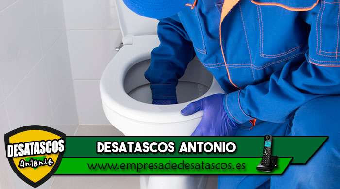 desatascar wc