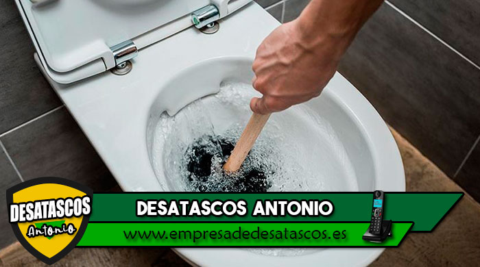 desatascar wc
