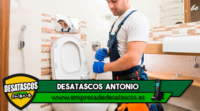 desatascar wc
