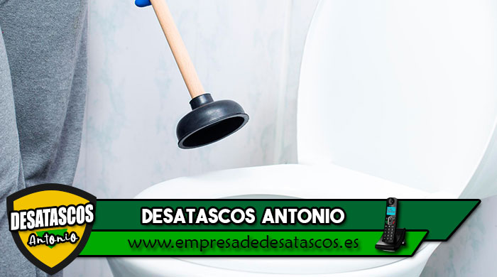 desatascar wc