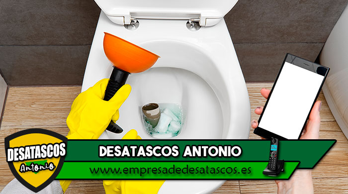 desatascar wc